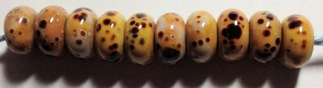 StoneGroundWithRaku2